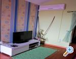 Andali apartmani Zadar Chorwacja