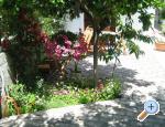 Apartmani KOLOVARE Zadar Chorwacja