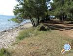 Apartmani Tea Zadar Chorwacja