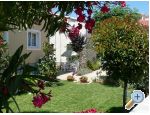 Apartmani Toni Zadar Chorwacja