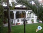 Apartmani Villa Karma Zadar Zadar Chorwacja