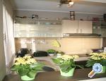 Apartman Ana Zadar Chorwacja