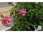  - Holiday Rtina - Zadar Chorwacja