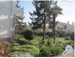 Apartman Irena Zadar Chorwacja