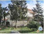 Apartman Irena Zadar Chorwacja