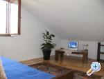 Rokov apartments Zadar Chorwacja