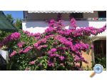 Lucija apartm�ny Zadar Chorwacja