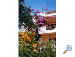 Villa Tereza Zadar Chorwacja