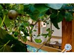 Villa Tereza Zadar Chorwacja