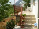 Apartman Katica Grgić Živogošče Chorwacja