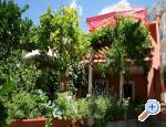 Apartman Mirjana Chorwacja