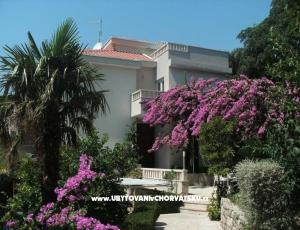 Apartmány Sulic-Krvavica