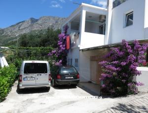 Apartmány Delfin