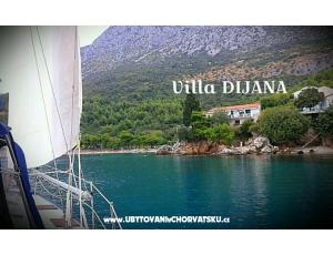 Dijana Beach Dům
