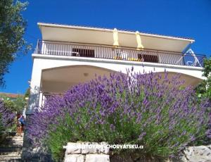 Apartmány Stipišić