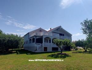 King size apartment NiL