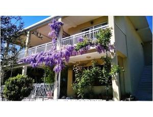 Apartmány Marijela