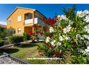 Apartmán Agava Seline