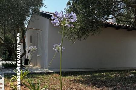 Primorje Biograd Chorvatsko