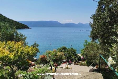 Apartmány Maja Blace Chorvatsko