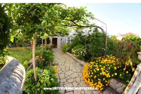 Apartmány  Mate Slavic ostrov Hvar Chorvatsko