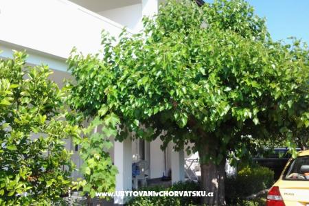 Apartmány Snjezana ostrov Rab Chorvatsko