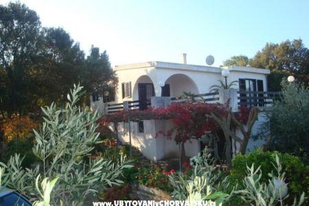 Villa Bepina ostrov Šolta Chorvatsko