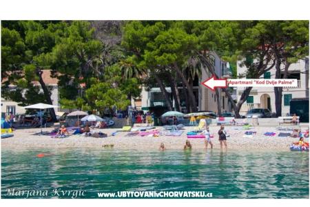Apartmány u dvou palem Živogošče Chorvatsko